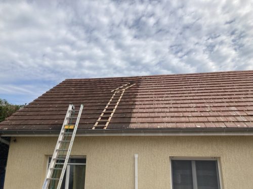 Avant/après d'un démoussage sur tuile en terre cuite